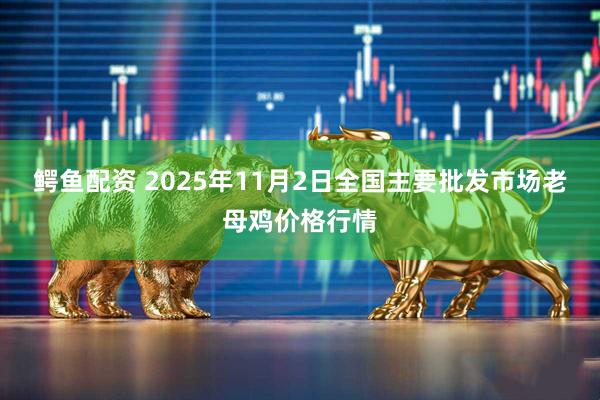 鳄鱼配资 2025年11月2日全国主要批发市场老母鸡价格行情